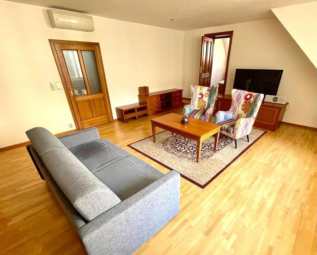 Huge Apartment With Private Parking In Center Prag