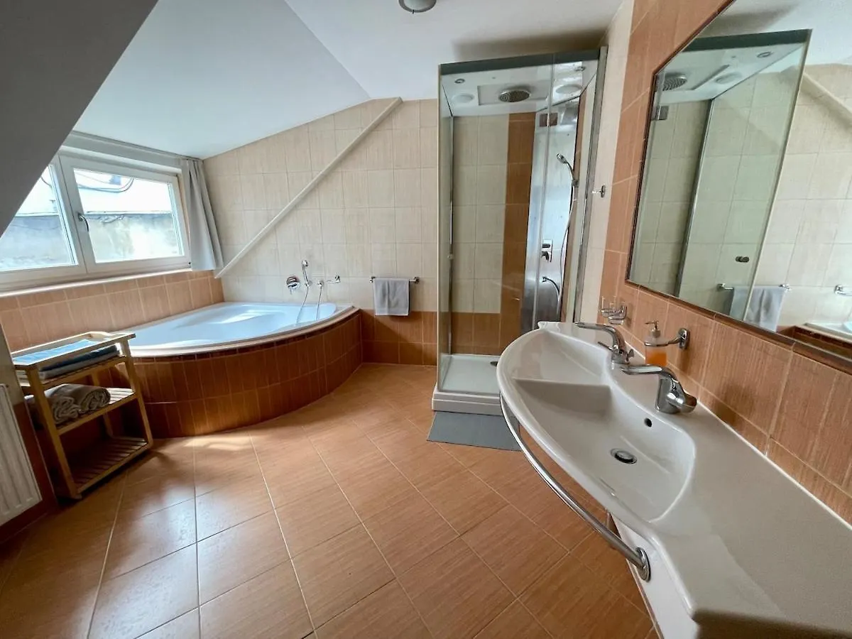 Huge Apartment With Private Parking In Center Prag Tjekkiet