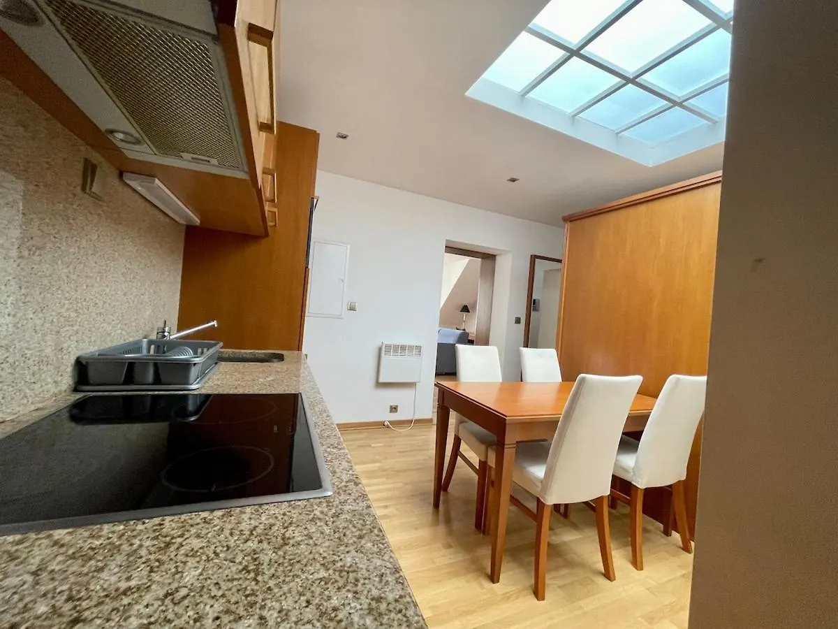 Huge Apartment With Private Parking In Center Prag