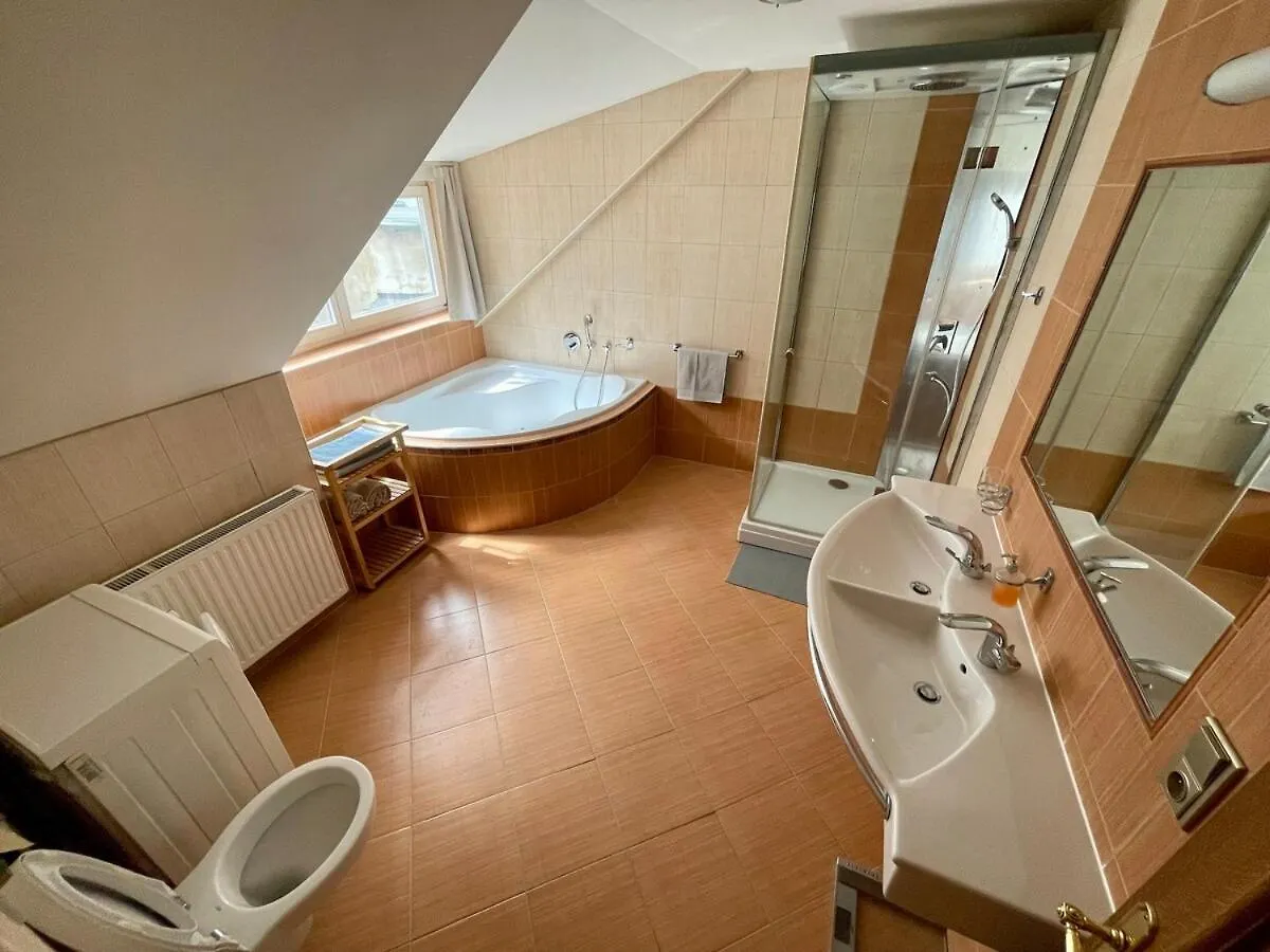 Huge Apartment With Private Parking In Center プラハ